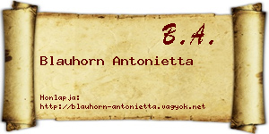 Blauhorn Antonietta névjegykártya